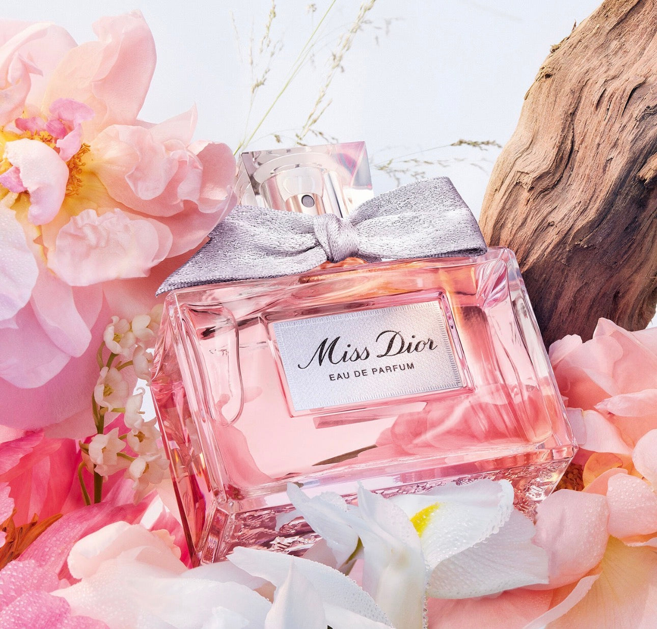Parfum Dior Miss Dior 100 ML