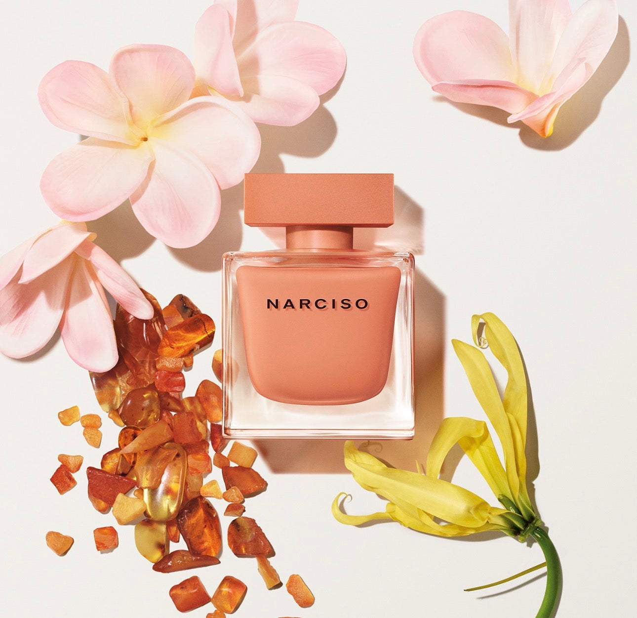 Parfum Narciso Rodriguez - Ambre Boisé 90 ML