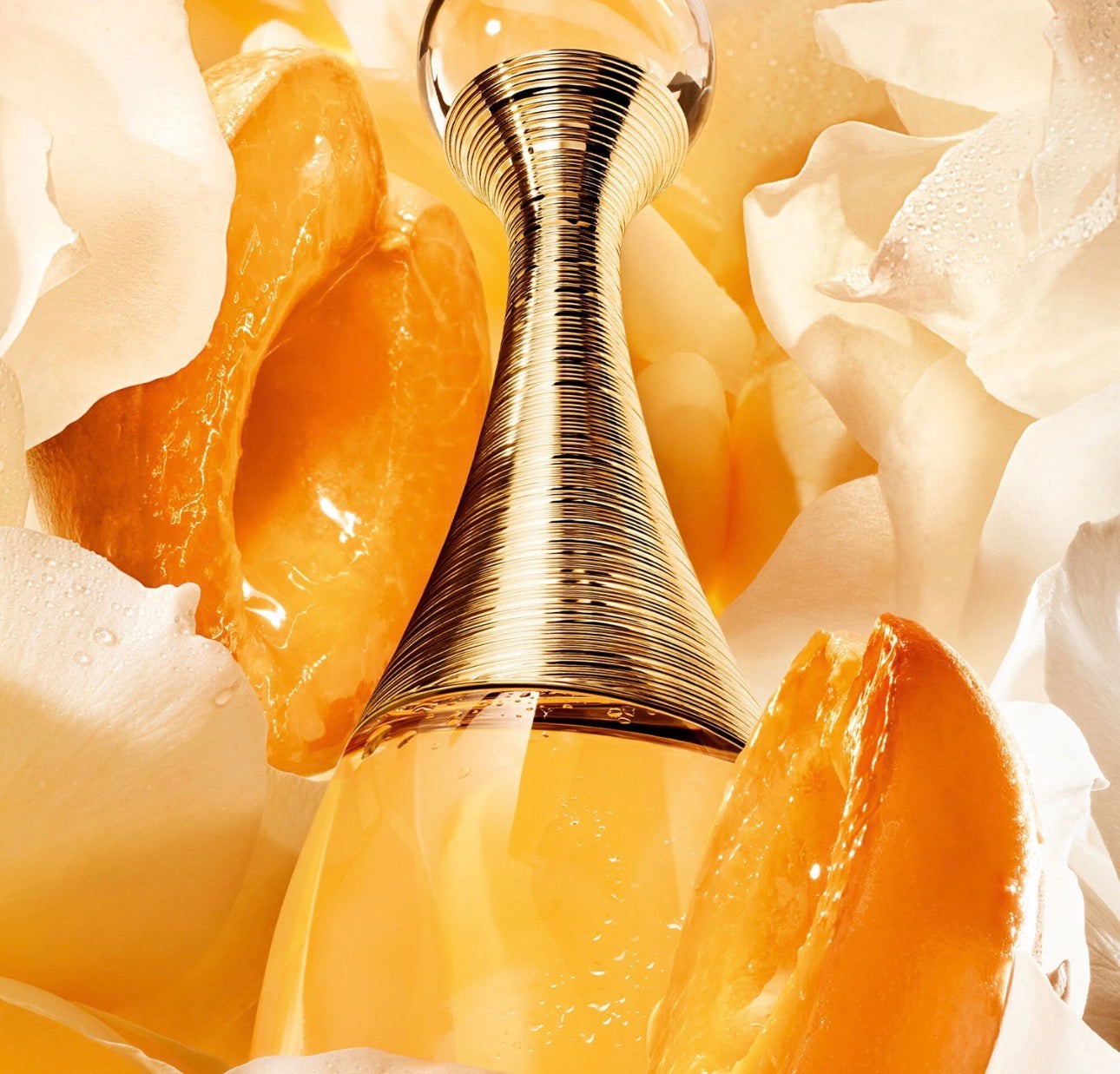 Parfum Dior J’adore - 100 ML