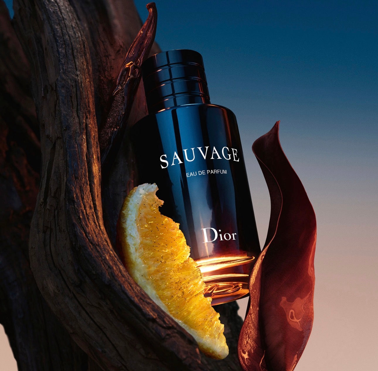 Parfum Sauvage de Dior 100 ML