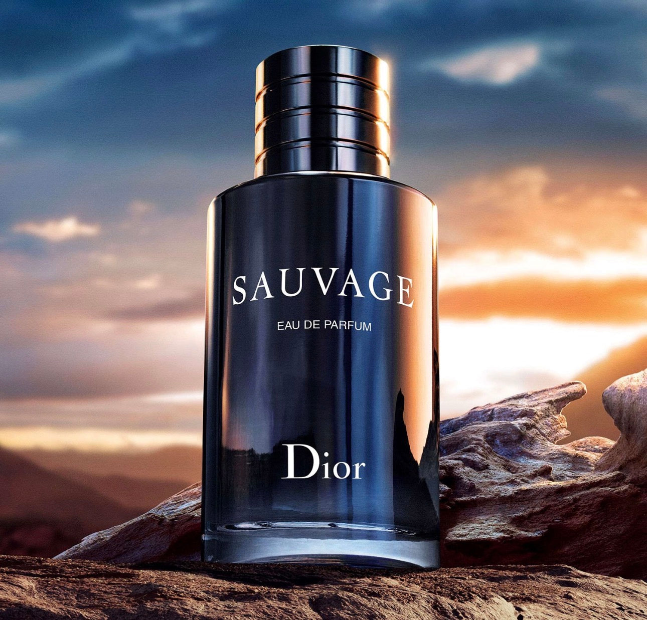 Parfum Sauvage de Dior 100 ML
